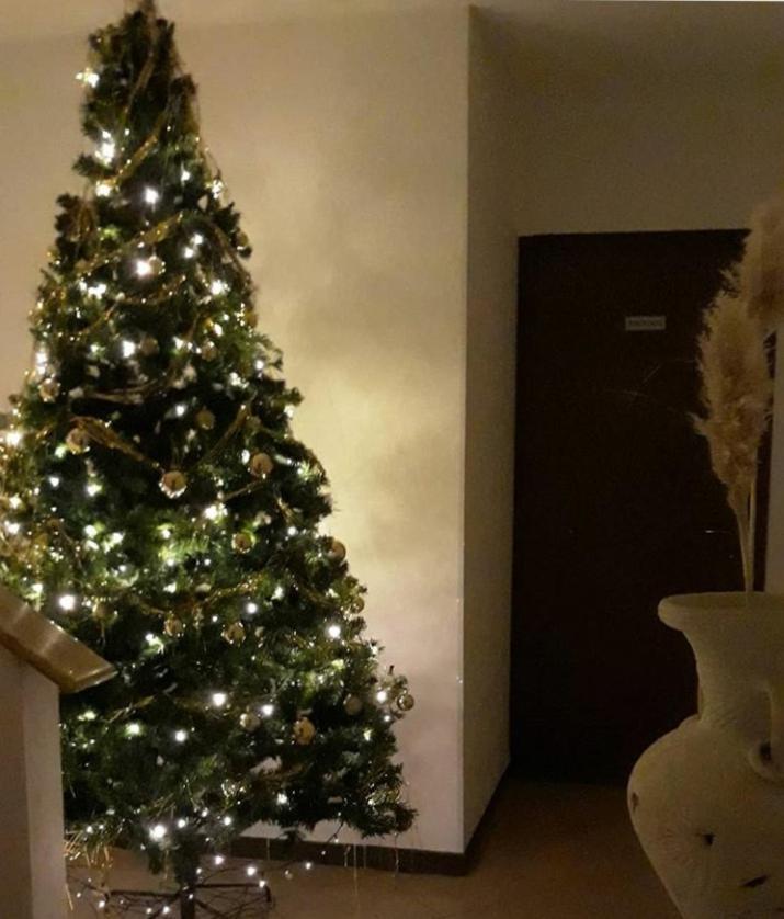 Bed and Breakfast Le Tre Stelle Ronco allʼAdige Zewnętrze zdjęcie